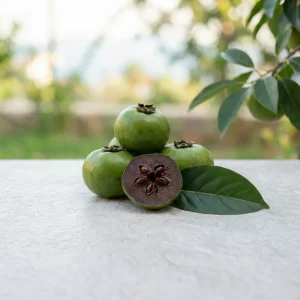 Gazipaşa Dalından Egzotik: Çikolata Meyvesi - Siyah Sapote