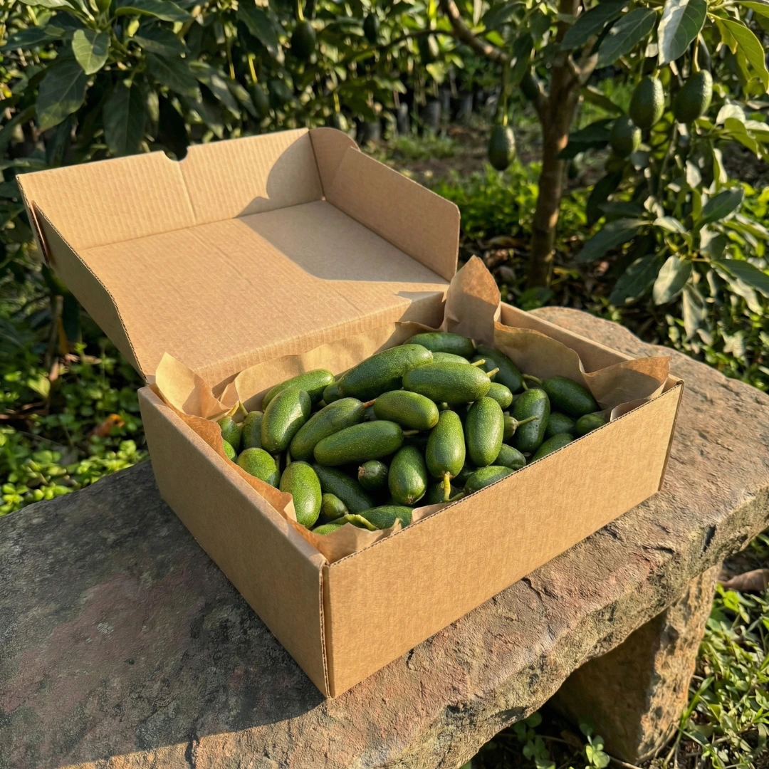 Gazipaşa Dalından Taze: Baby Avokado – Küçük Boy - Görsel 4