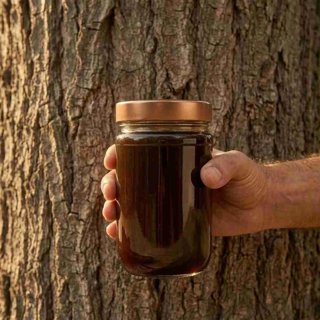 Gazipaşa Hasadı Doğal Keçiboynuzu Pekmezi - Görsel 2