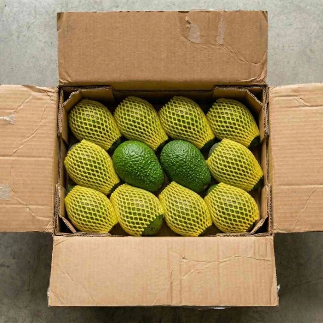 Gazipaşa’dan: Organik Hass Avokado - Görsel 5